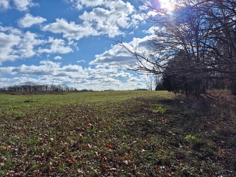 More Photos Of Logan School Rd. (30.2+/- Acres), New Florence Land For Sale
