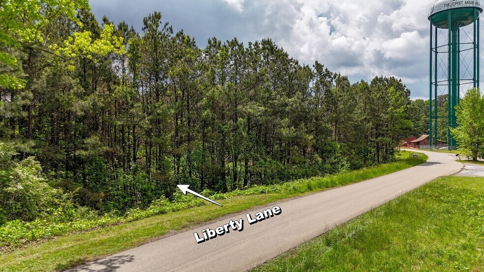 More Photos Of 0 Liberty Ln, Jasper Land For Sale