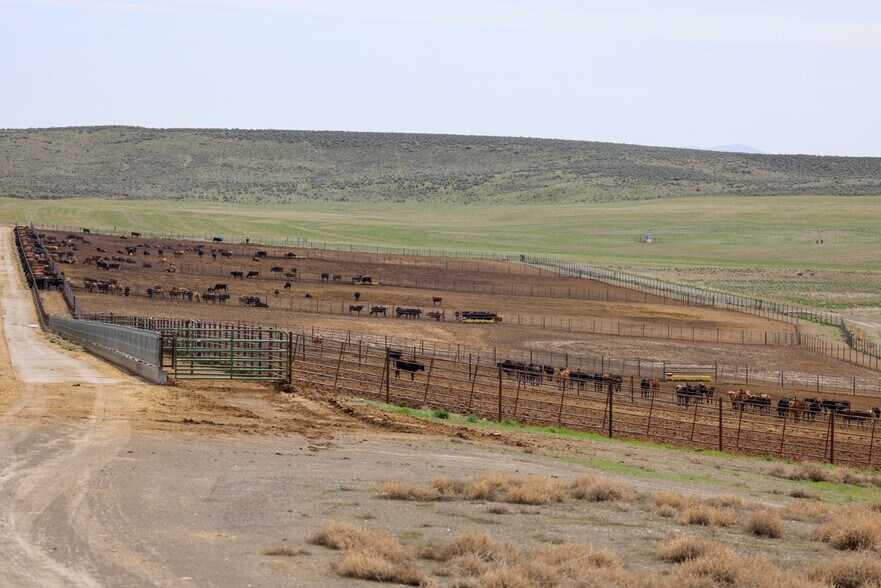 More Photos Of , Burns Land For Sale