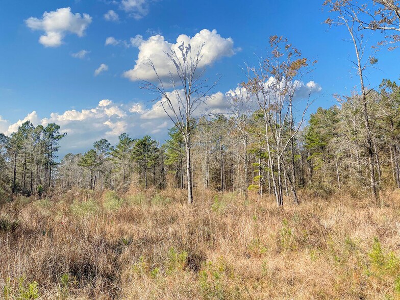 More Photos Of 14747-15807 Hubbs Rd, Pride Land For Sale