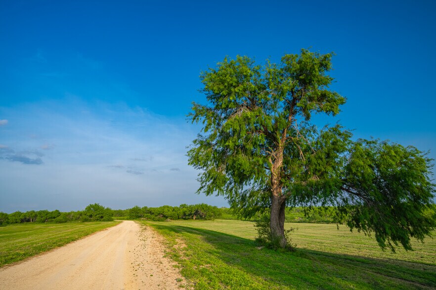 More Photos Of Las Brisas Road, Rio Grande City Land For Sale