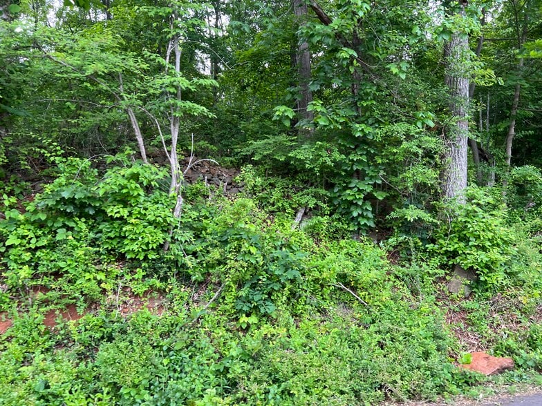 More Photos Of 6322 Hopewell Rd, The Plains Land For Sale