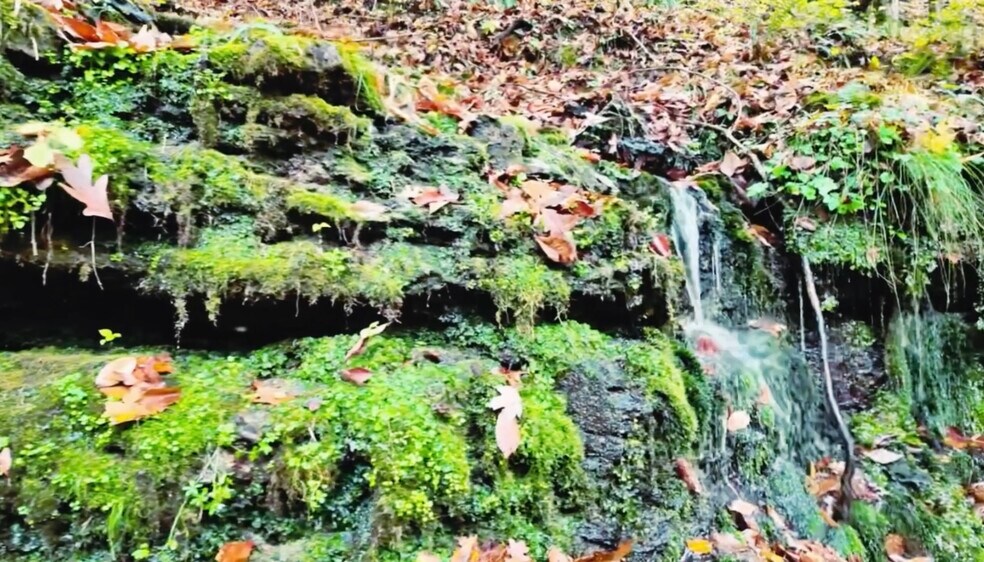 More Photos Of 700 New Power House rd, Lawrenceburg Land For Sale