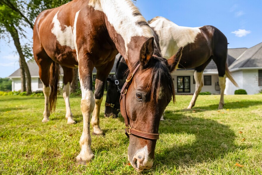 More Photos Of 1901 Moffet Rd, Saint Joseph Specialty For Sale
