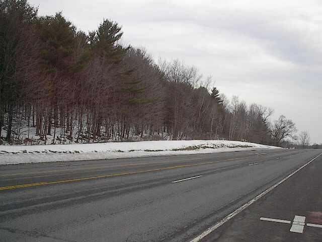 Primary Photo Of 1814 Route 9, Castleton On Hudson Land For Sale