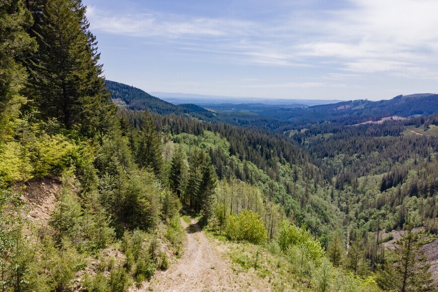 More Photos Of 0 Snag Mountain Road, Washougal Land For Sale
