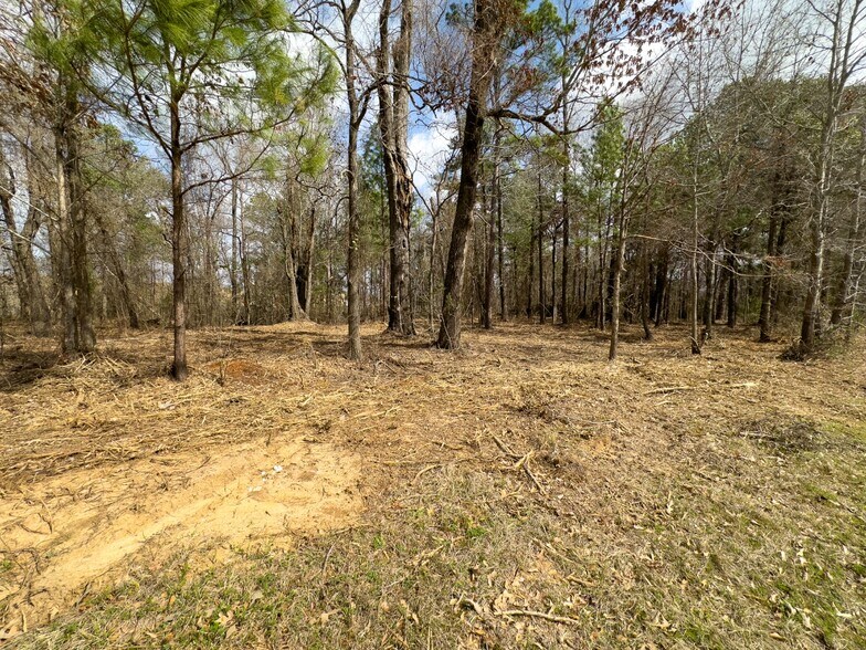 More Photos Of 3363 FM 349, Kilgore Land For Sale