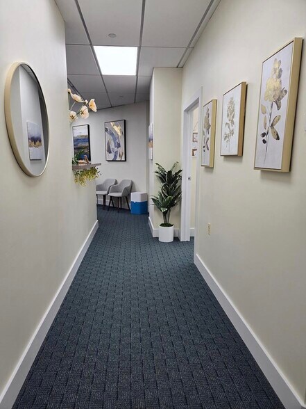 More Photos Of 45-47 Orient Way, Rutherford Medical For Lease