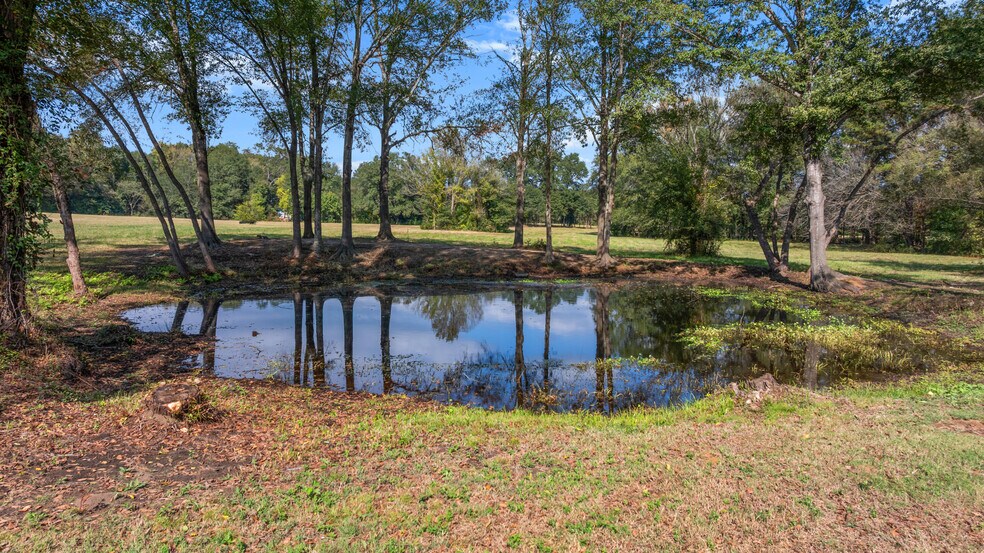 More Photos Of TBD Farm to Market Road 16, Winona Land For Sale