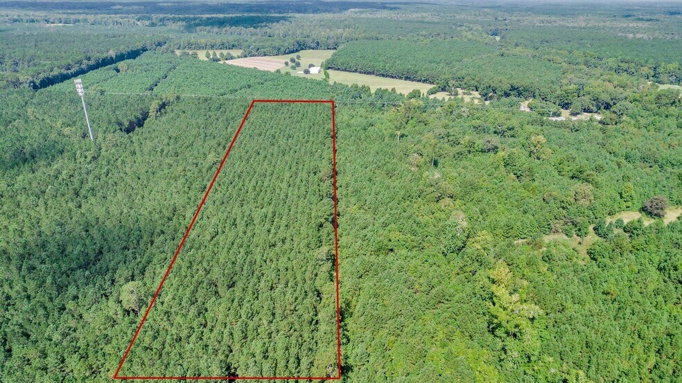 Primary Photo Of 1734 Jedburg Rd, Summerville Land For Sale