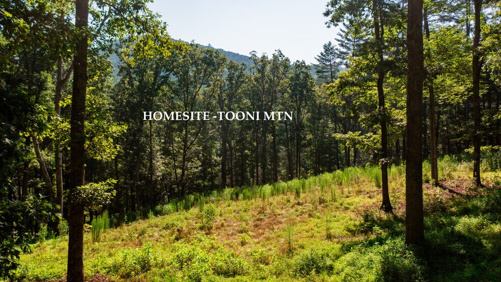 More Photos Of 0 Old Rock Creek Rd, Blue Ridge Land For Sale