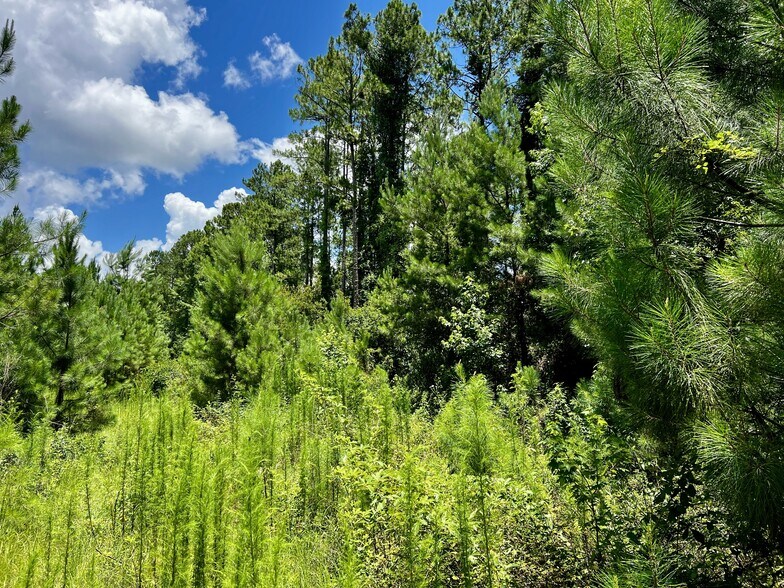 More Photos Of 000 New Kings Road, Jacksonville Land For Sale