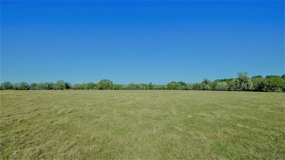 More Photos Of 26266 Fields Store Rd., Waller Land For Sale