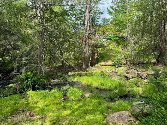 More Photos Of 6 Beaver Brook rd, Yulan Office For Sale