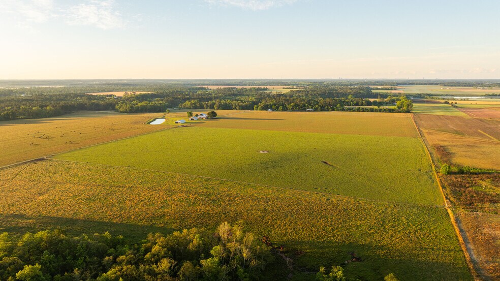More Photos Of 24795 County Road 32, Elberta Land For Sale