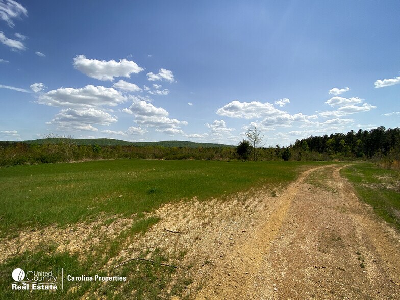 More Photos Of 1084 Stoney Pointe, Lexington Land For Sale
