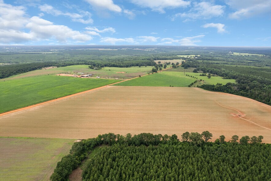 More Photos Of 0 Old Stage rd, Repton Land For Sale