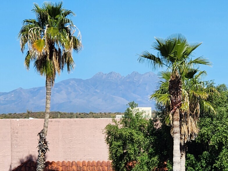 More Photos Of 16913 E Enterprise Dr, Fountain Hills Storefront Retail Office For Lease