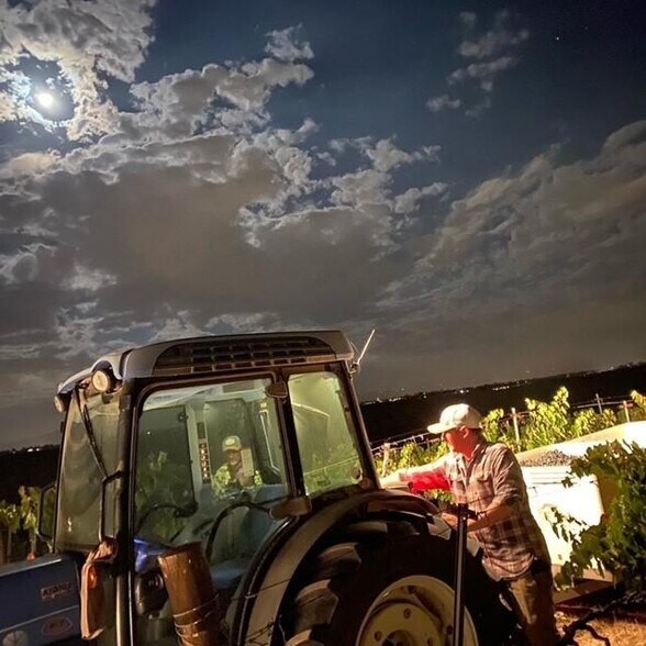 More Photos Of 40150 Barksdale Cir, Temecula Winery Vineyard For Sale