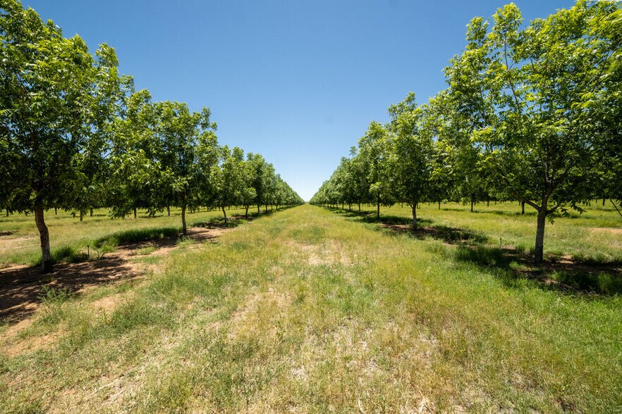 More Photos Of 4968 W Gleeson Rd, Elfrida Land For Sale