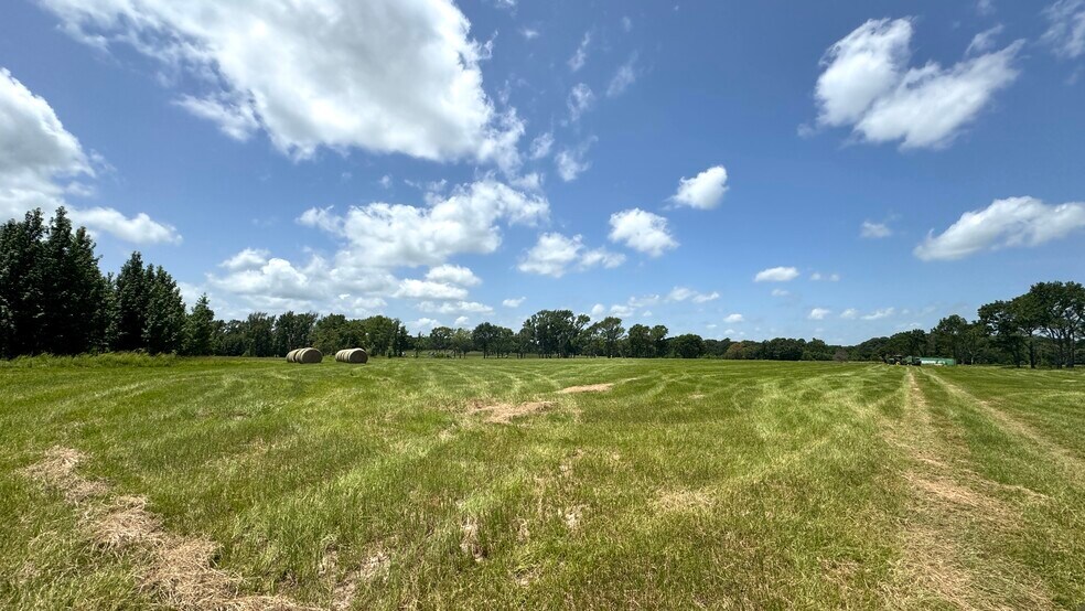 More Photos Of 13530 FM 773, Ben Wheeler Land For Sale