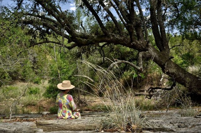 More Photos Of 545 County Road 421, Spicewood Land For Sale
