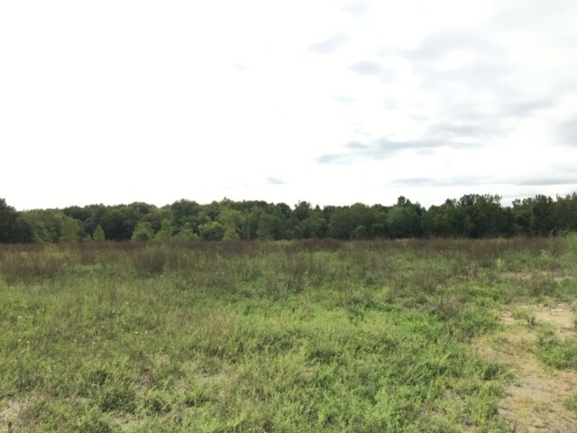 More Photos Of Oakville Waltz Rd, Ash Twp Land For Sale