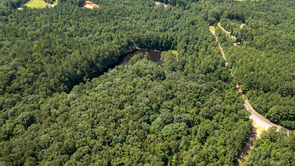 More Photos Of 17796 Dry Branch loop, Northport Land For Sale