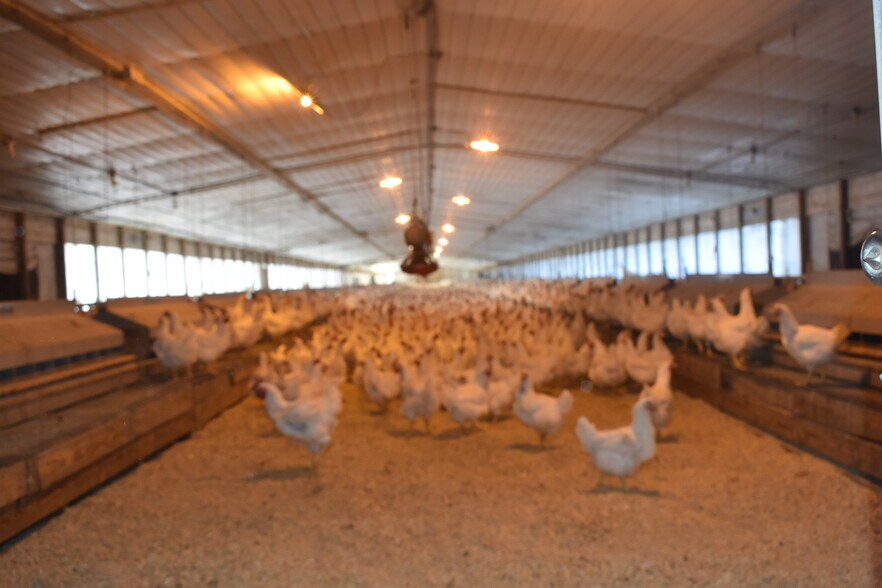 More Photos Of 441 Weaver Rd, Moultrie Land For Sale