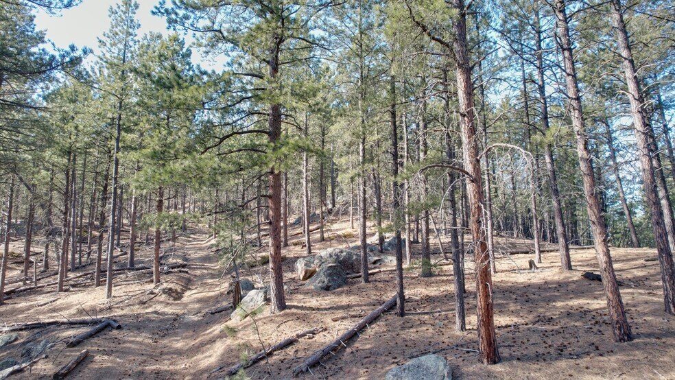 More Photos Of 1201A Old Hill City Rd, Keystone Land For Sale