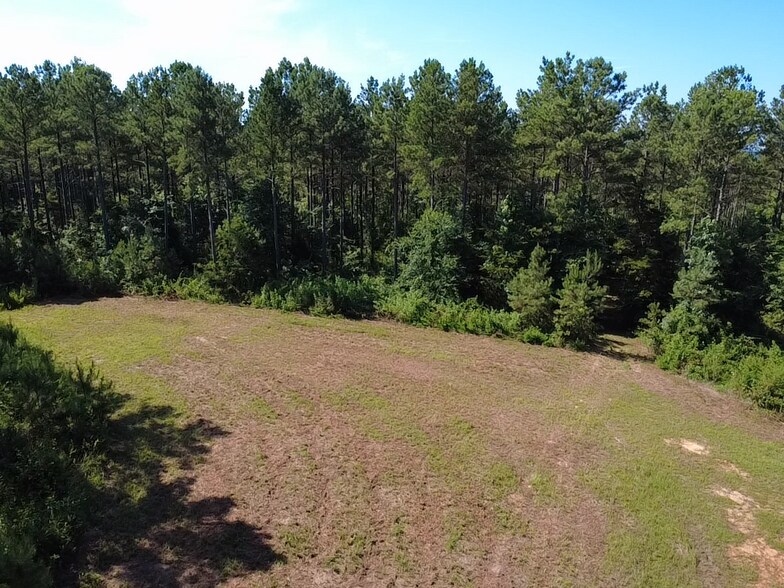 More Photos Of Hwy 184, Due West Land For Sale