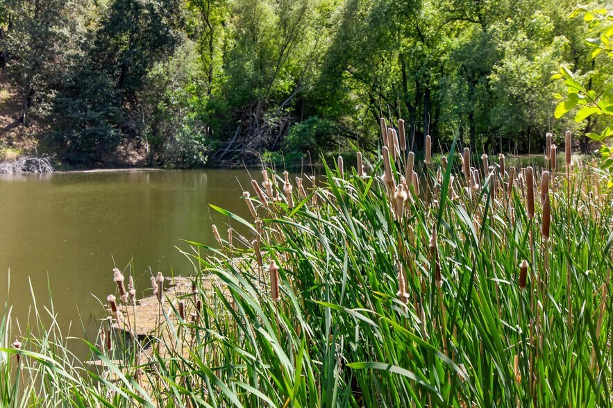 More Photos Of San Felipe Road, Warner Springs Land For Sale