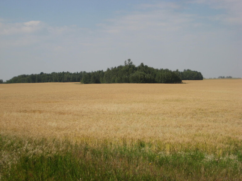 Primary Photo Of Hwy 2 A, Carstairs Land For Sale