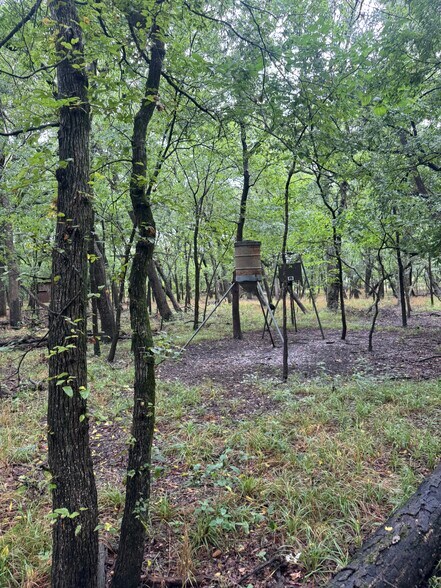 More Photos Of Highway 276, Quinlan Land For Sale
