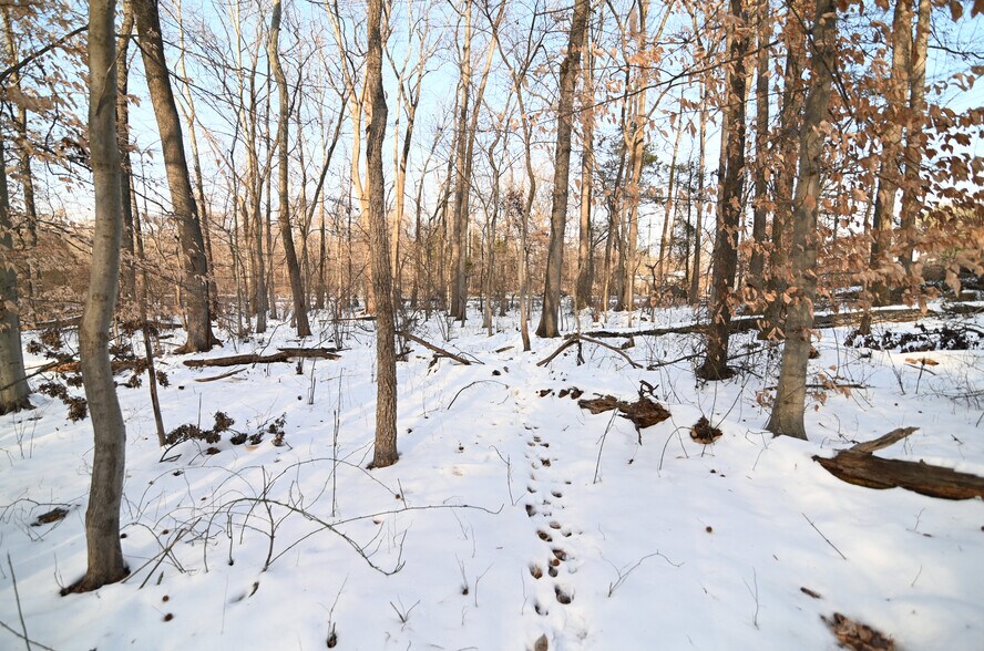 More Photos Of Cherryfield Rd @ Brinkley Rd`, Fort Washington Land For Sale