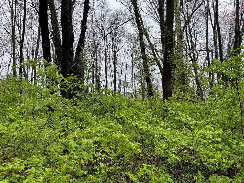 More Photos Of 1800 State Road 46, Terre Haute Land For Sale