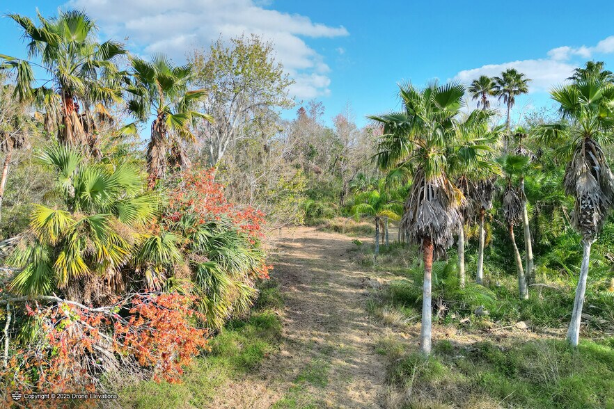 More Photos Of 8680 Williams Rd, Seffner Land For Sale