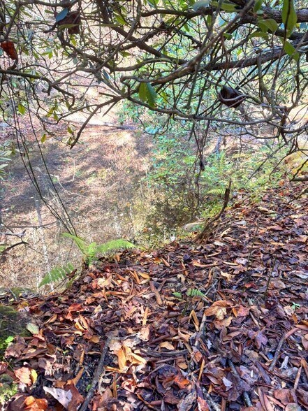 More Photos Of 0 Old Pluto Rd, Shady Spring Land For Sale