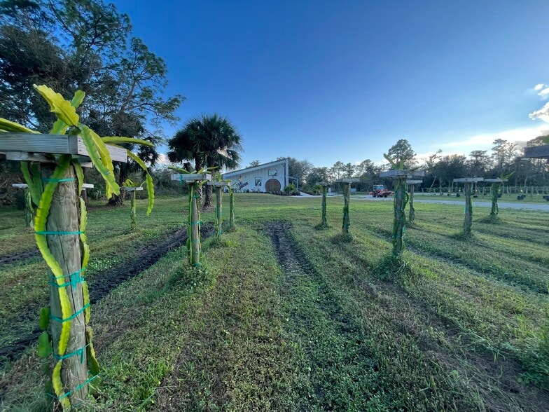 More Photos Of 20948 Corkscrew Rd, Estero Winery Vineyard For Sale