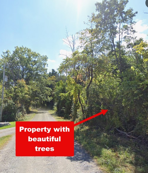 More Photos Of Gale Hill Road Rd, East Chatham Land For Sale