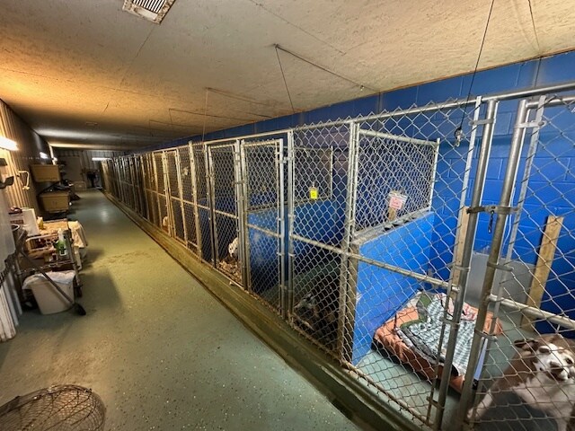 More Photos Of 8659 Hillview Dr, Meridian Land For Sale