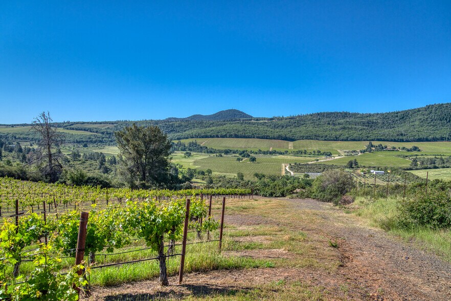 More Photos Of 8179 HIGHWAY 29, Lower Lake Land For Sale