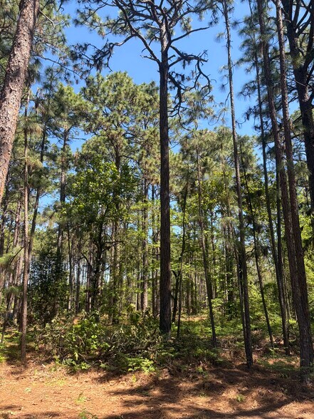 More Photos Of 5324 US 1 Hwy, Vass Land For Sale