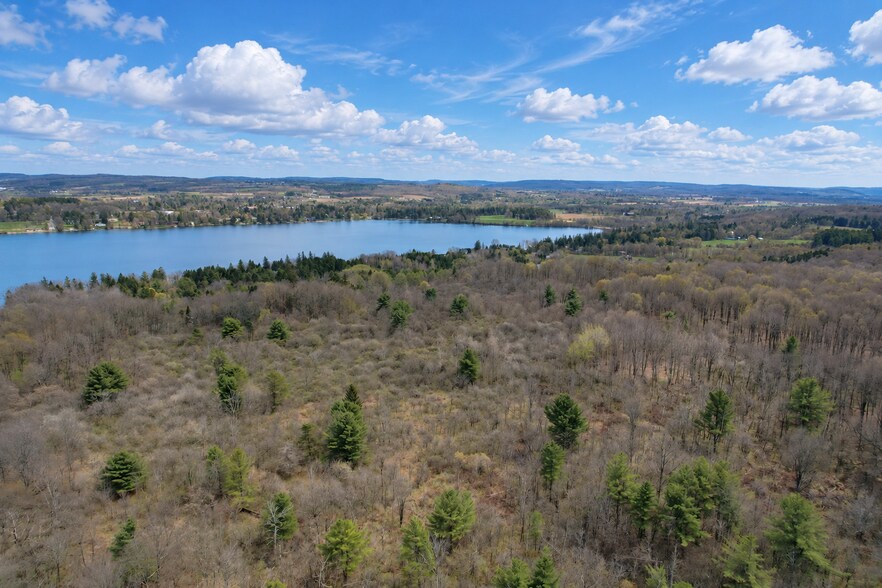 More Photos Of 00 Route 92, Cazenovia Land For Sale