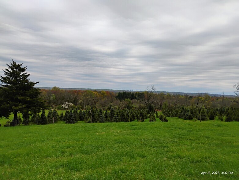 More Photos Of 213 Grandview Rd, Skillman Land For Sale