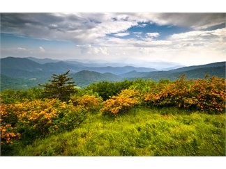 Primary Photo Of 5 Acres Directly Across From Lake Lure, Lake Lure Land For Sale