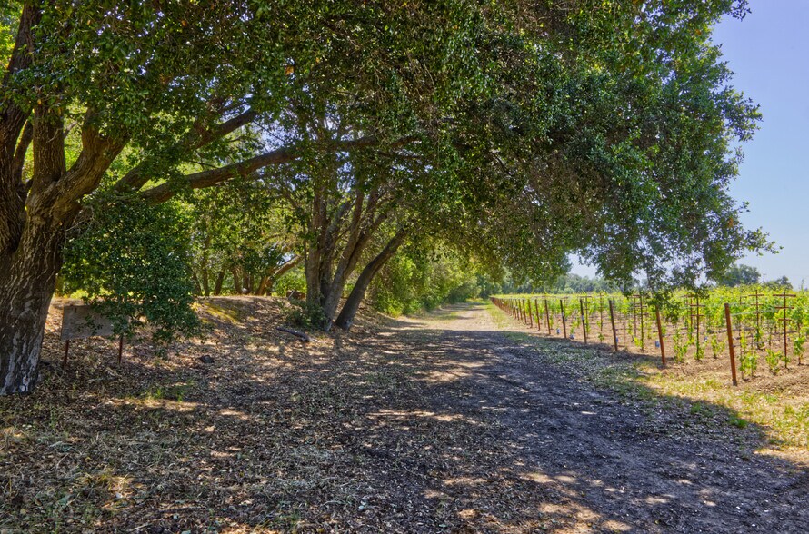 More Photos Of 6160 St Helena hwy, Napa Land For Sale