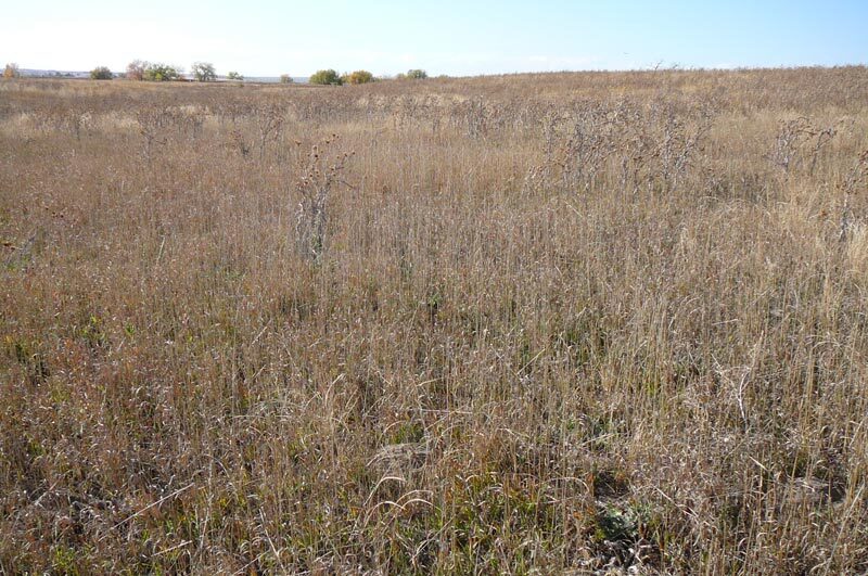 More Photos Of 1970 Imboden rd, Watkins Land For Sale