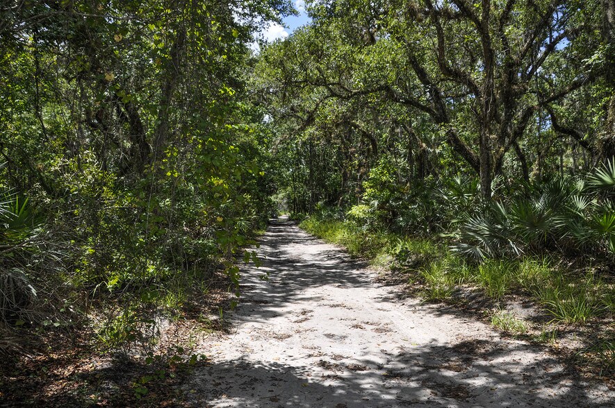More Photos Of Lake Harney Rd, Osteen Land For Sale