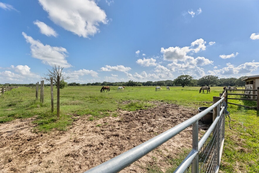More Photos Of 1226 County Road 201A, Angleton Land For Sale